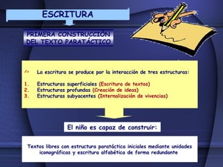 Proceso de lectura y escritura | PPT