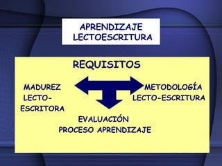 Proceso de lectura y escritura | PPT