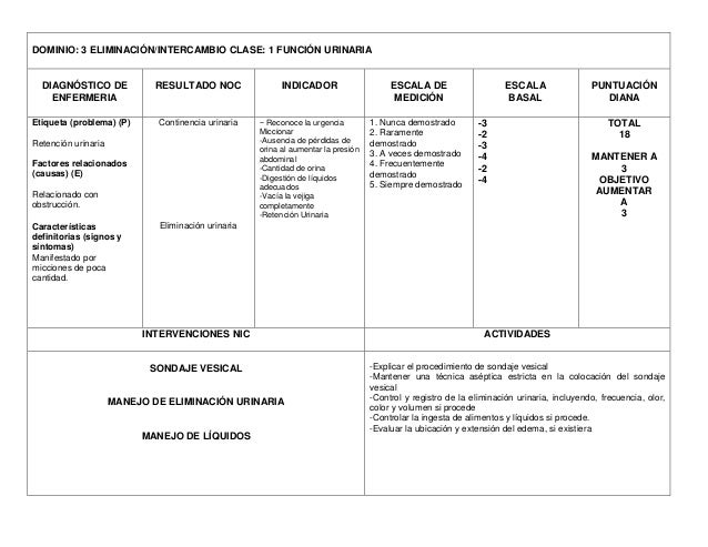Proceso de atención en enfermería en paciente renal
