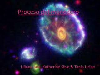 Proceso del monedero




Liliana Jara, Katherine Silva & Tania Uribe
 
