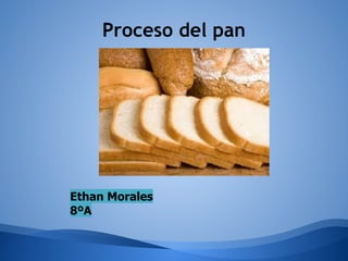 Proceso del pan
Ethan Morales
8ºA
 