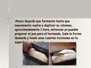 Ahora dejarás que fermente hasta que nuevamente vuelva a duplicar su volumen, aproximadamente 1 hora, entonces ya puedes preparar el pan para el horneado. Dale la forma deseada y hazle unas cuantas incisiones en la superficie, a tu gusto. 