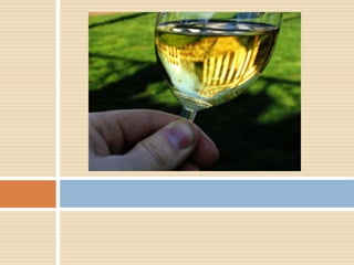 Equipo 1 proceso del vino tinto