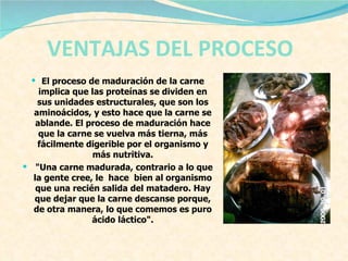 VENTAJAS DEL PROCESO   El proceso de maduración de la carne implica que las proteínas se dividen en sus unidades estructurales, que son los aminoácidos, y esto hace que la carne se ablande. El proceso de maduración hace que la carne se vuelva más tierna, más fácilmente digerible por el organismo y más nutritiva.   "Una carne madurada, contrario a lo que la gente cree, le  hace  bien al organismo que una recién salida del matadero. Hay que dejar que la carne descanse porque, de otra manera, lo que comemos es puro ácido láctico". 