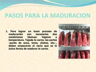 PASOS PARA LA MADURACION   1. Para lograr un buen proceso de maduración son necesarias dos condiciones básicas: higiene y temperatura. Tajada la carne, las partes -punta de anca, lomo, chatas, etc.-, deben empacarse al vacío que es la única forma de madurar la carne.  