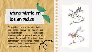 El objetivo primario del aturdimiento
por perno cautivo es inducir una
insensibilización inmediata
administrando un golpe fuerte en el
cráneo del animal. El animal debe
permanecer inconsciente hasta su
muerte como consecuencia del
desangrado o descabello.
 