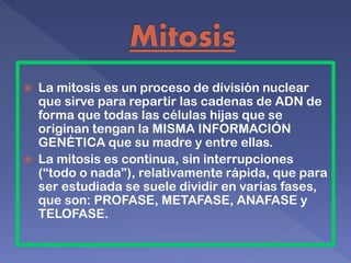  La mitosis es un proceso de división nuclear
que sirve para repartir las cadenas de ADN de
forma que todas las células hijas que se
originan tengan la MISMA INFORMACIÓN
GENÉTICA que su madre y entre ellas.
 La mitosis es continua, sin interrupciones
(“todo o nada”), relativamente rápida, que para
ser estudiada se suele dividir en varias fases,
que son: PROFASE, METAFASE, ANAFASE y
TELOFASE.
 
