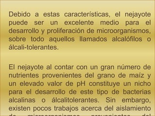 Proceso de nixtamalizacion y tratamiento del agua de nejayote | PPTX