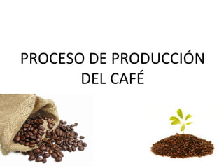 PROCESO DE PRODUCCIÓN
       DEL CAFÉ
 