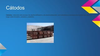 Cátodos 
Cátodos: obtenidos del proceso de electrorrefinación y de electroobtención, son sometidos a procesos de revisión de calidad y 
luego seleccionados, pesados y apilados. 
 