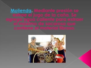 Molienda. Mediante presión se extrae el jugo de la caña. Se agrega agua caliente para extraer el máximo de sacarosa que contiene el material fibroso.