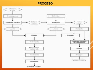 PROCESO 
 