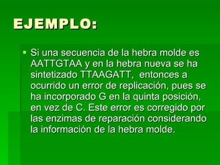 EJEMPLO: Si una secuencia de la hebra molde es AATTGTAA y en la hebra nueva se ha sintetizado TTAAGATT,  entonces a ocurrido un error de replicación, pues se ha incorporado G en la quinta posición, en vez de C. Este error es corregido por las enzimas de reparación considerando la información de la hebra molde. 