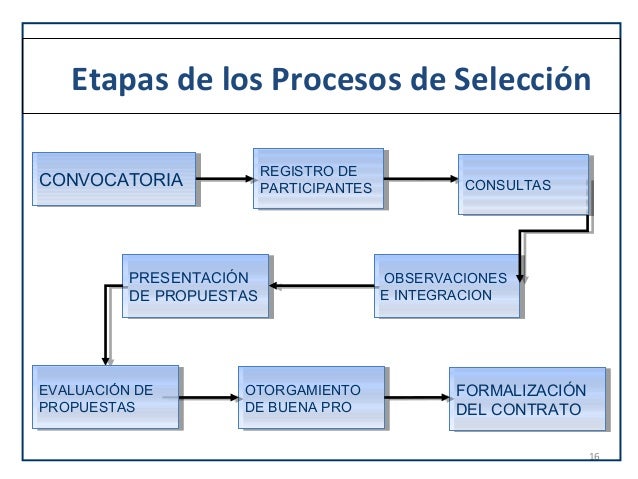 Fases Del Proceso De Seleccion