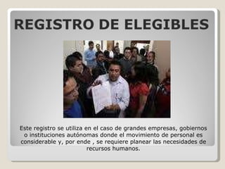 Este registro se utiliza en el caso de grandes empresas, gobiernos o instituciones autónomas donde el movimiento de personal es considerable y, por ende , se requiere planear las necesidades de recursos humanos. 