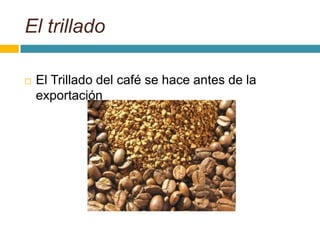 Proceso de trillado y tipos de café Slide 2