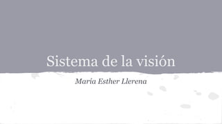 Sistema de la visión 
María Esther Llerena 
 
