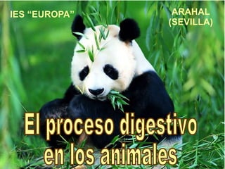 IES “EUROPA” ARAHAL (SEVILLA) El proceso digestivo  en los animales 