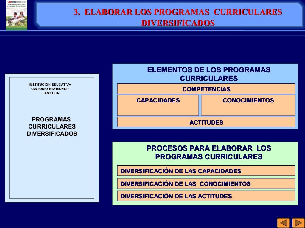 Proceso Diversificacion Curricular 3110