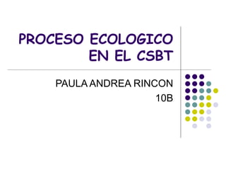 PROCESO ECOLOGICO EN EL CSBT PAULA ANDREA RINCON 10B 