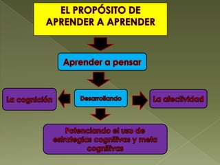 Proceso educativo 2