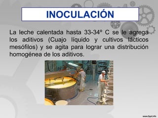 INOCULACIÓN
La leche calentada hasta 33-34º C se le agrega
los aditivos (Cuajo líquido y cultivos lácticos
mesófilos) y se agita para lograr una distribución
homogénea de los aditivos.
INOCULACIÓN
 