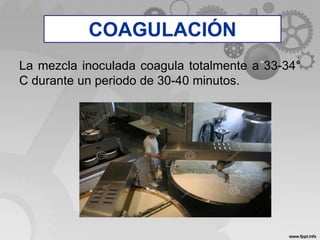 COAGULACIÓN
La mezcla inoculada coagula totalmente a 33-34°
C durante un periodo de 30-40 minutos.
COAGULACIÓN
 