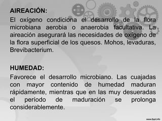AIREACIÓN:
El oxígeno condiciona el desarrollo de la flora
microbiana aerobia o anaerobia facultativa. La
aireación asegurará las necesidades de oxígeno de
la flora superficial de los quesos. Mohos, levaduras,
Brevibacterium.
HUMEDAD:
Favorece el desarrollo microbiano. Las cuajadas
con mayor contenido de humedad maduran
rápidamente, mientras que en las muy desueradas
el período de maduración se prolonga
considerablemente.
 