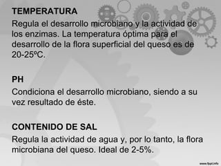 TEMPERATURA
Regula el desarrollo microbiano y la actividad de
los enzimas. La temperatura óptima para el
desarrollo de la flora superficial del queso es de
20-25ºC.
PH
Condiciona el desarrollo microbiano, siendo a su
vez resultado de éste.
CONTENIDO DE SAL
Regula la actividad de agua y, por lo tanto, la flora
microbiana del queso. Ideal de 2-5%.
 