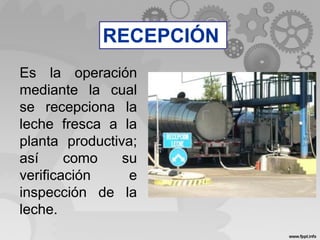 Es la operación
mediante la cual
se recepciona la
leche fresca a la
planta productiva;
así como su
verificación e
inspección de la
leche.
RECEPCIÓN
 