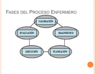 FASES DEL PROCESO ENFERMERO
 
