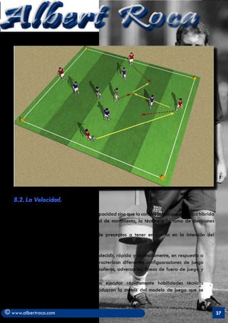 Albert Roca




   8.2. La Velocidad.

   No será tratada en este informe como capacidad sino que la consideramos una cualidad híbrida
   condicionada por la fuerza, la amplitud de movimiento, la técnica y la toma de decisiones
   (ésta, en deportes de equipo).
   Garganta (2000), señala unas serie de preceptos a tener en cuenta en la intención del
   entrenamiento de la velocidad:

       1 Incrementar la capacidad para decidir, rápida y ajustadamente, en respuesta a
       los complejos de estímulos que caracterizan diferentes configuaraciones de juego
       (posición del balón, portería, compañeros, adversarios, líneas de fuera de juego y
       otros).
       2. Aumentar la capacidad para ejecutar rápidamente habilidades técnicas
       específicas en contextos que reproduzcan la matriz del modelo de juego que se
       pretende implementar.

© www.albertroca.com                                                                              37
 
