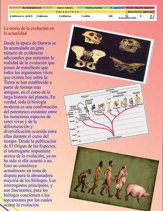 Proceso evolutivo 4