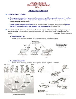 PRIMERA UNIDAD
EVOLUCIONY DIVERSIDAD
TEMA l
PROCESO EVOLUTIVO
ESPECIACION o ESPECIE
Es un grupo de organismos que posee el mismo acervo genético, capaces de aparearse y producir
descendientes fértiles, que se parecen entre sí, más que otros. (individuos que poseen características
comunes que les permite porcrearse)
Ocurre cuando un proceso evolutivo (de un ancestro común, se originan nuevas especies) produce
efectos enespecies originales, que culminan con especies nuevas (o subespecies).
Si reconstruimos la historia evolutiva, ya sea de una sola especie (microevolución), o de grandes grupos
(macroevolución), describiríamos el patrón de evolutivo o la forma en que se dio la esTperacqiauceiófnitdaes las
mismas.
MICROEVOLUCION:
(helechos, plantas con flores)
Estudio de los procesos evolutivos de los grupos de razas, especies o géneros.
Ilustra el concepto de
DIVERSIFICACION
ADAPTATIVA
MACROEVOLUCION:
Estudio de los procesos evolutivos de los grandes troncos vegetales y animales.
 