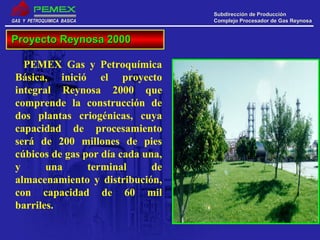 GAS Y PETROQUIMICA BASICAGAS Y PETROQUIMICA BASICA
Subdirección de ProducciónSubdirección de Producción
Complejo Procesador de Gas ReynosaComplejo Procesador de Gas Reynosa
PEMEX Gas y Petroquímica
Básica, inició el proyecto
integral Reynosa 2000 que
comprende la construcción de
dos plantas criogénicas, cuya
capacidad de procesamiento
será de 200 millones de pies
cúbicos de gas por día cada una,
y una terminal de
almacenamiento y distribución,
con capacidad de 60 mil
barriles.
Proyecto Reynosa 2000Proyecto Reynosa 2000
 