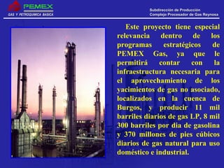 GAS Y PETROQUIMICA BASICAGAS Y PETROQUIMICA BASICA
Subdirección de ProducciónSubdirección de Producción
Complejo Procesador de Gas ReynosaComplejo Procesador de Gas Reynosa
Este proyecto tiene especial
relevancia dentro de los
programas estratégicos de
PEMEX Gas, ya que le
permitirá contar con la
infraestructura necesaria para
el aprovechamiento de los
yacimientos de gas no asociado,
localizados en la cuenca de
Burgos, y producir 11 mil
barriles diarios de gas LP, 8 mil
300 barriles por dia de gasolina
y 370 millones de pies cúbicos
diarios de gas natural para uso
doméstico e industrial.
 