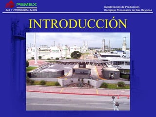 GAS Y PETROQUIMICA BASICAGAS Y PETROQUIMICA BASICA
Subdirección de ProducciónSubdirección de Producción
Complejo Procesador de Gas ReynosaComplejo Procesador de Gas Reynosa
INTRODUCCIÓN
 