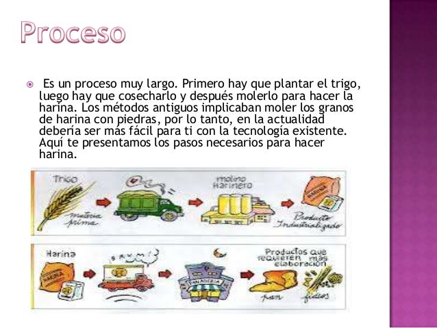 pic Imagenes Del Proceso Del Trigo proceso harina maria paz reyes 8ºb