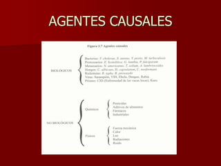 AGENTES CAUSALES
 