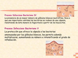 Proceso Infeccioso Bacteriano IV La presencia de un mayor número de glóbulos blancos neutrófilos, lleva a que una importante cantidad de bacterias se rodeen de una cápsula, resistiendo de ésta manera la fagocitosis a partir de los leucocitos. Proceso Infeccioso Bacteriano V La protección que ofrece la cápsula a las bacterias amenazadas por los glóbulos blancos, les permita además multiplicarse, aumentando su número e intensificando el grado de inflamación. 