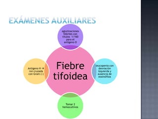 Fiebre
tifoidea
aglutinaciones
febriles con
títulos 1/160
para el
antígeno O
leucopenia con
desviación
izquierda y
ausencia de
eosinófilos
Tomar 2
hemocultivos
Antigeno H 
rxn cruzada
con Gram (-)
 