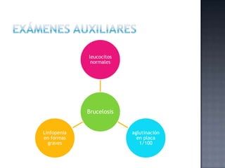 Brucelosis
leucocitos
normales
aglutinación
en placa
1/100
Linfopenia
en formas
graves
 