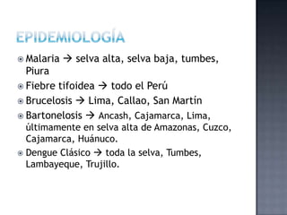  Malaria  selva alta, selva baja, tumbes,
Piura
 Fiebre tifoidea  todo el Perú
 Brucelosis  Lima, Callao, San Martín
 Bartonelosis  Ancash, Cajamarca, Lima,
últimamente en selva alta de Amazonas, Cuzco,
Cajamarca, Huánuco.
 Dengue Clásico  toda la selva, Tumbes,
Lambayeque, Trujillo.
 