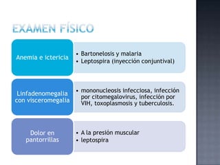 • Bartonelosis y malaria
• Leptospira (inyección conjuntival)
Anemia e ictericia
• mononucleosis infecciosa, infección
por citomegalovirus, infección por
VIH, toxoplasmosis y tuberculosis.
Linfadenomegalia
con visceromegalia
• A la presión muscular
• leptospira
Dolor en
pantorrillas
 