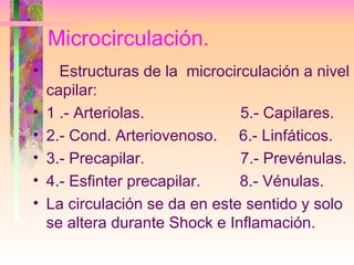 Microcirculación. <ul><li>Estructuras de la  microcirculación a nivel capilar: </li></ul><ul><li>1 .- Arteriolas.  5.- Cap...