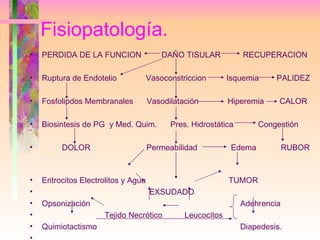 Fisiopatología. <ul><li>PERDIDA DE LA FUNCION  DAÑO TISULAR  RECUPERACION </li></ul><ul><li>Ruptura de Endotelio  Vasocons...
