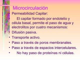 Microcirculación <ul><li>Permeabilidad Capilar: </li></ul><ul><li>El capilar formado por endotelio y célula basal, permite...