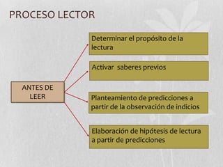 PROCESO LECTOR

             Determinar el propósito de la
             lectura

             Activar saberes previos

  ANTES DE
    LEER     Planteamiento de predicciones a
             partir de la observación de indicios


             Elaboración de hipótesis de lectura
             a partir de predicciones
 