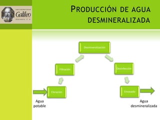 P RODUCCIÓN DE AGUA
                                   DESMINERALIZADA


                                Desmineralización




                Filtración                          Desinfección




          Cloración                                       Envasado


 Agua                                                              Agua
potable                                                        desmineralizada
 