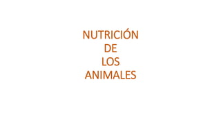 NUTRICIÓN
DE
LOS
ANIMALES
 